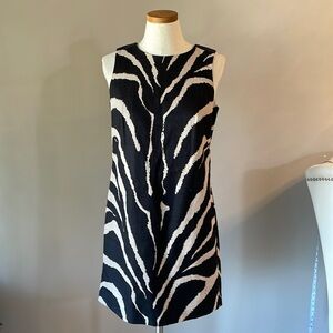 Loft ZEBRA print mini dress / 100% cotton sleeveless zip back crew neckline 6P